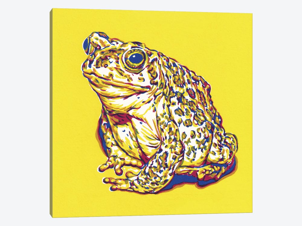 Frog by Vitali Komarov 1-piece Canvas Wall Art