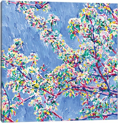 Blossoming Sakura Canvas Art Print - Vitali Komarov