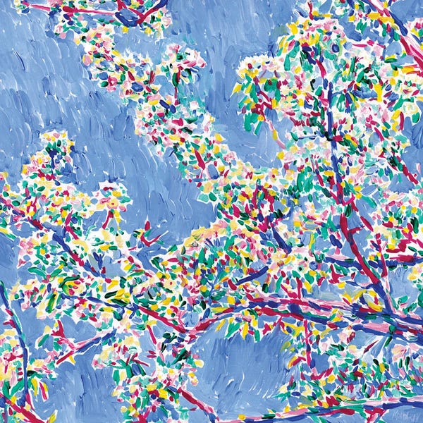 Cherry Blossoms: Blossoming Sakura by Vitali Komarov