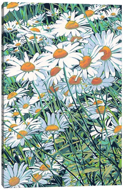 Daisy Flowers Field Canvas Art Print - Daisy Art