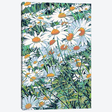 Daisy Flowers Field Canvas Print #VTK4} by Vitali Komarov Canvas Art
