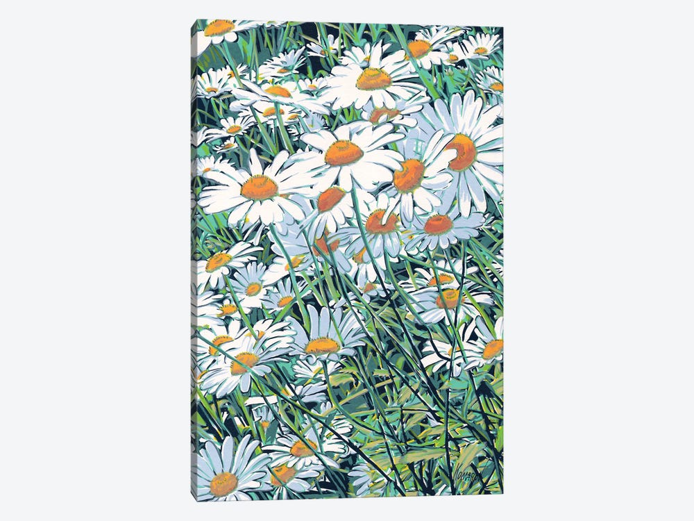 Daisy Flowers Field by Vitali Komarov 1-piece Canvas Wall Art