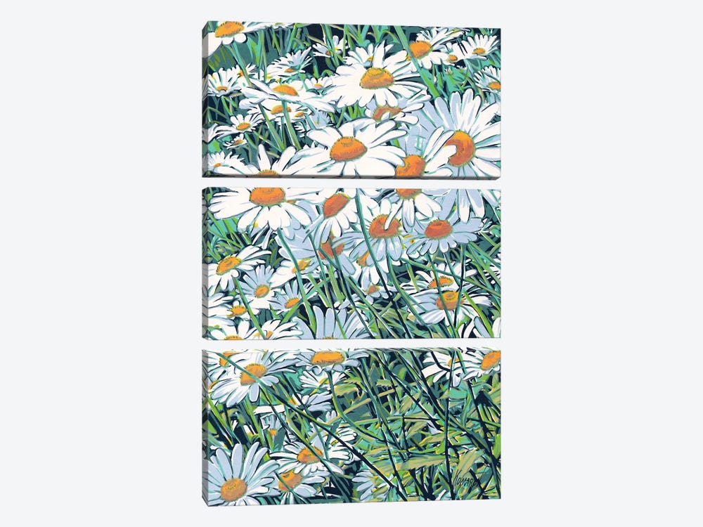 Daisy Flowers Field by Vitali Komarov 3-piece Canvas Artwork