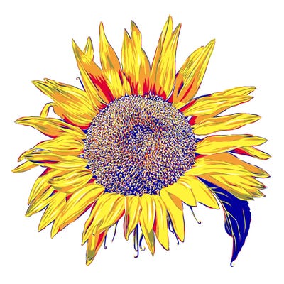 Yellow Sunflower by Vitali Komarov framed wall art