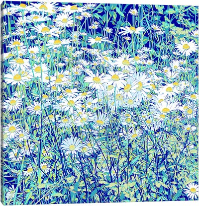 Daisies For Lovers Canvas Art Print - Vitali Komarov