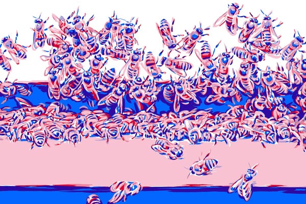 Bees: Beehive by Vitali Komarov