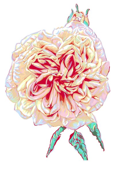 Peony by Vitali Komarov framed wall art