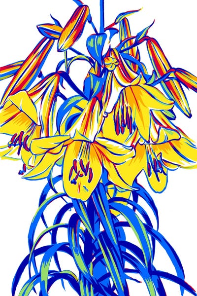 Lilies by Vitali Komarov framed wall art