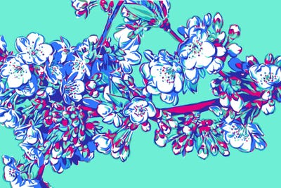 Blossoming Branch by Vitali Komarov framed wall art