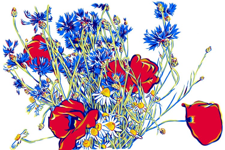 Poppy Cornflower Daisy Bouquet by Vitali Komarov wall art