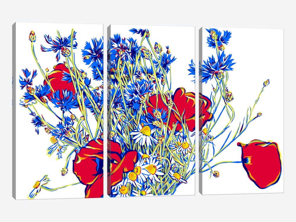 Poppy Cornflower Daisy Bouquet by Vitali Komarov 3-piece Canvas Wall Art