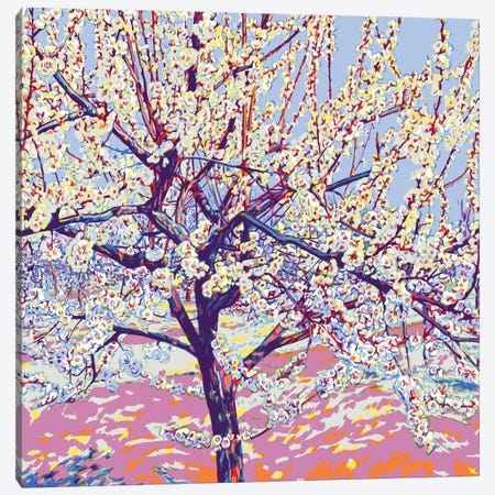 Blossoming Spring Orchard Canvas Print #VTK589} by Vitali Komarov Canvas Art Print