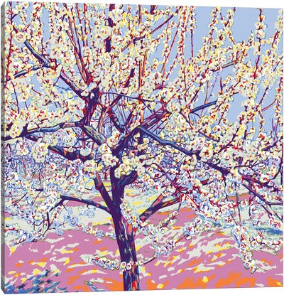 Blossoming Spring Orchard Canvas Art Print - Vitali Komarov