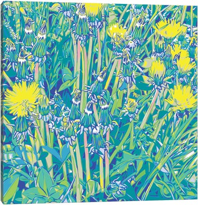 Dandelion Meadow Canvas Art Print - Dandelion Art