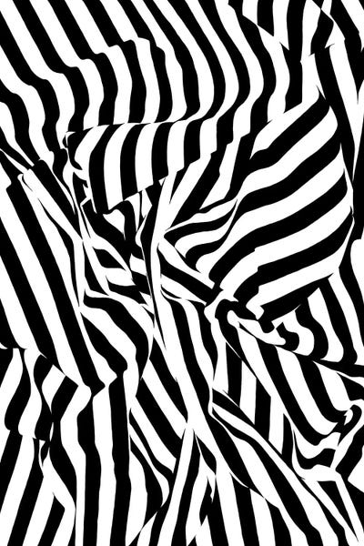 Black & White Patterns: Black Sripes by Vitali Komarov