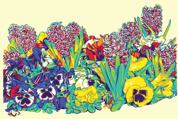 Pansies: Spring Flower Bed II by Vitali Komarov