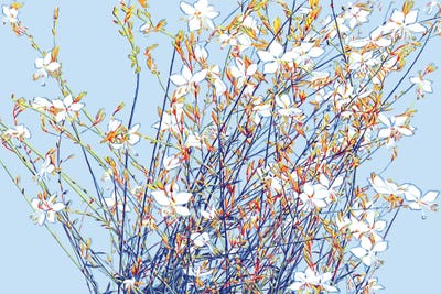 Spring Flower Bouquet by Vitali Komarov canvas print