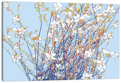 Spring Flower Bouquet Canvas Art Print - Vitali Komarov