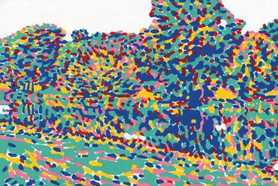 Forest And River by Vitali Komarov framed wall art