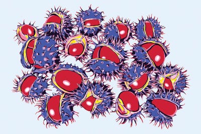 Ripe Chestnuts by Vitali Komarov framed wall art