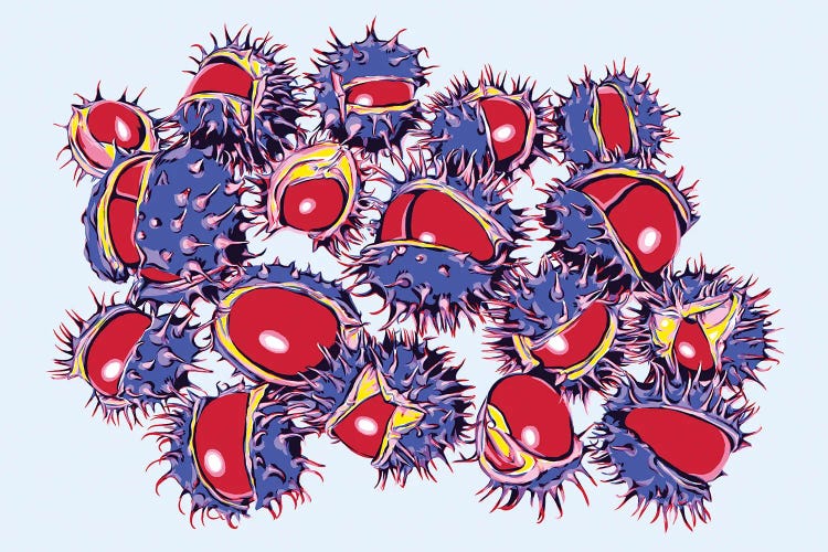 Ripe Chestnuts