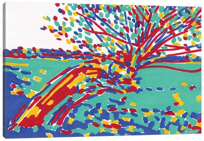 Weeping Willow In The Field Canvas Art Print - Vitali Komarov