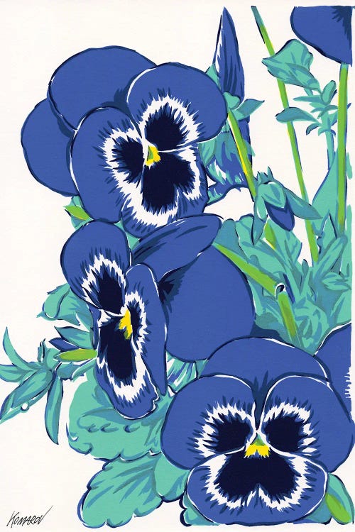 Pansy Flowers