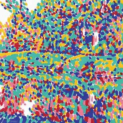 Forest Reflection On The River by Vitali Komarov framed wall art