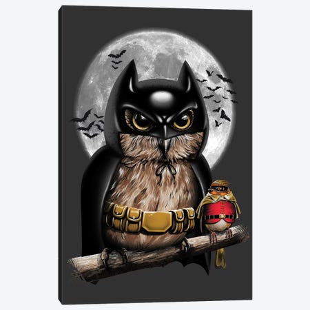 Knight Owl Canvas Print #VTR32} by Vincent Trinidad Canvas Wall Art