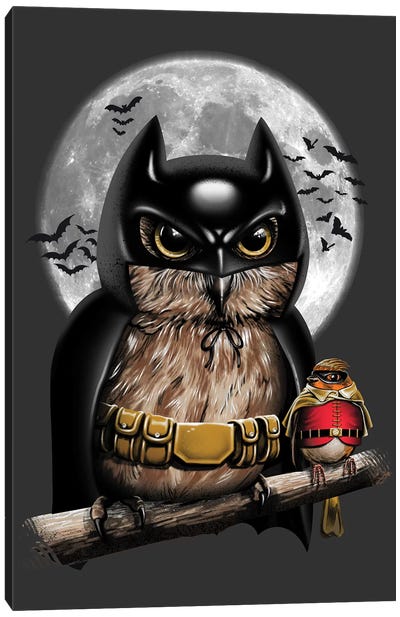 Knight Owl Canvas Art Print - Superhero Art