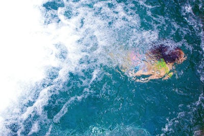 Emergence by Verne Varona canvas print