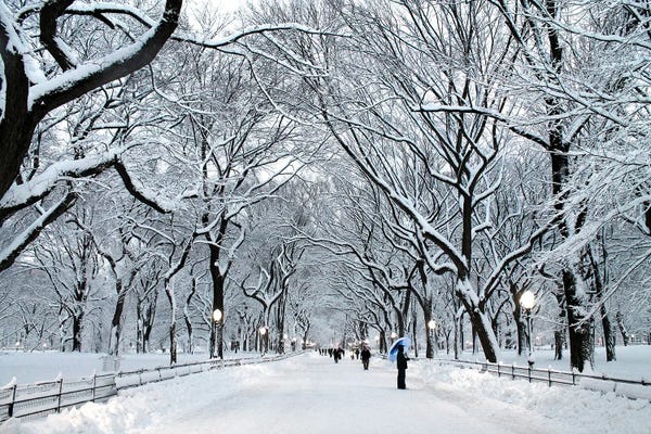 Verne Varona: White Wonder by Verne Varona