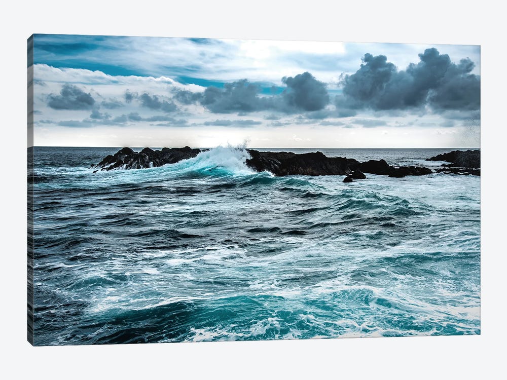 Wind And Wave by Verne Varona 1-piece Canvas Wall Art