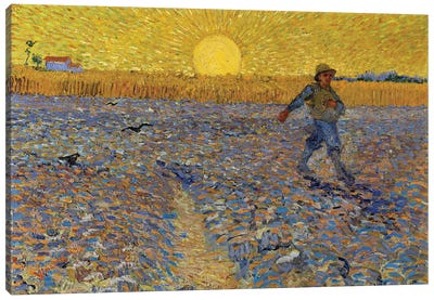 The Sower, C.1888 Canvas Art Print - Vincent van Gogh