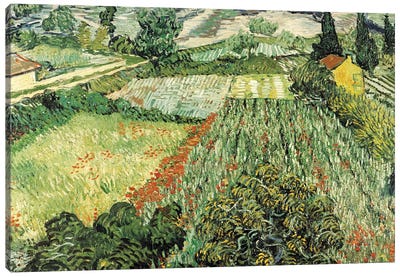 Feld Mit Mohnblumen Canvas Art Print - Farm Art