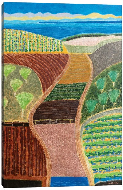 County Vineyards Canvas Art Print - Patchwork Landscapes