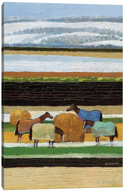 Horses In Blankets Canvas Art Print - Vadim Vaskovsky