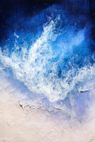 Star Ocean by Vinn Wong canvas print