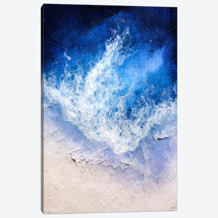Star Ocean Canvas Print #VWO156} by Vinn Wong Canvas Artwork