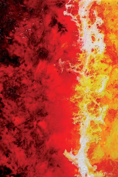 Inner Gardens VIII by Vinn Wong framed wall art