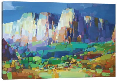 Canyon Rock Canvas Art Print