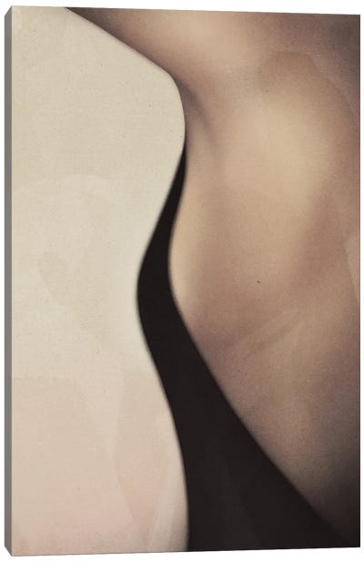 Body Shape I Canvas Art Print - Black & Beige Art