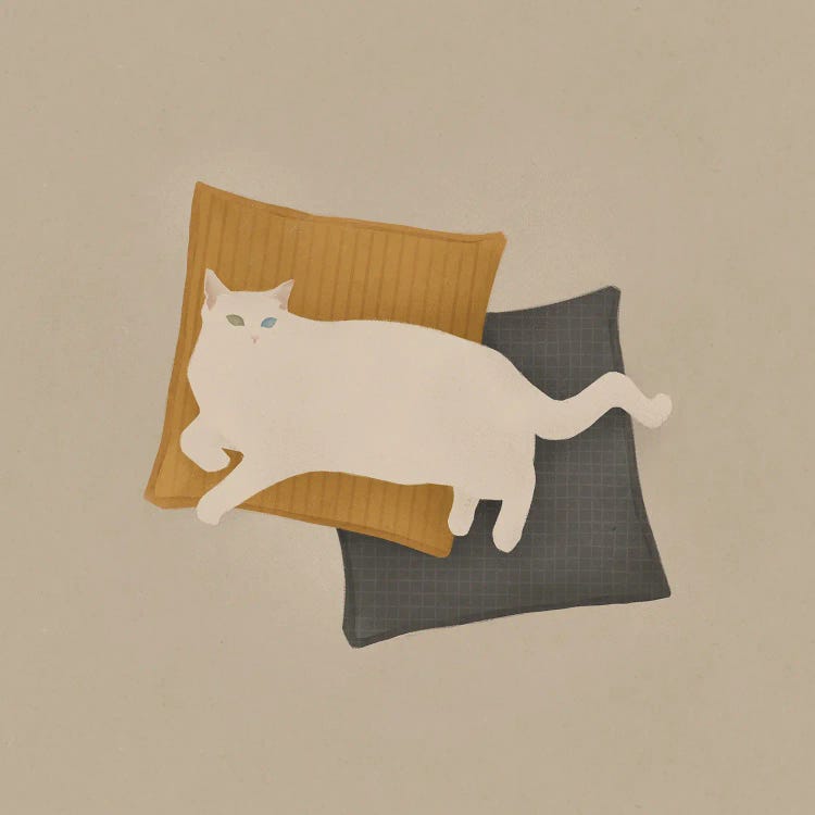 White Kitty I