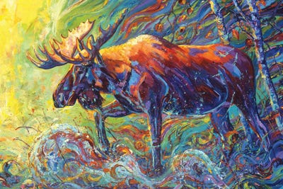 Valeria Yost - Canvas Prints: Moose by Valeria Yost