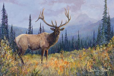 Santa Fe - Canvas Prints: Tapestry- Elk by Valeria Yost