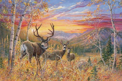 Valeria Yost - Canvas Prints: The Dream Maker by Valeria Yost