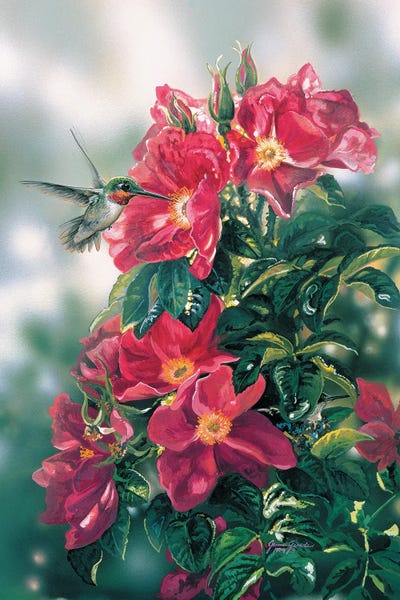 Hummingbirds: Camouflage Hummingbird by Valeria Yost