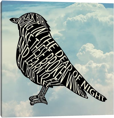 Blackbird - The Beatles Canvas Art Print - Very Nice Words