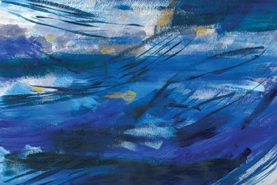 Water Play by Vera Zhukova canvas print