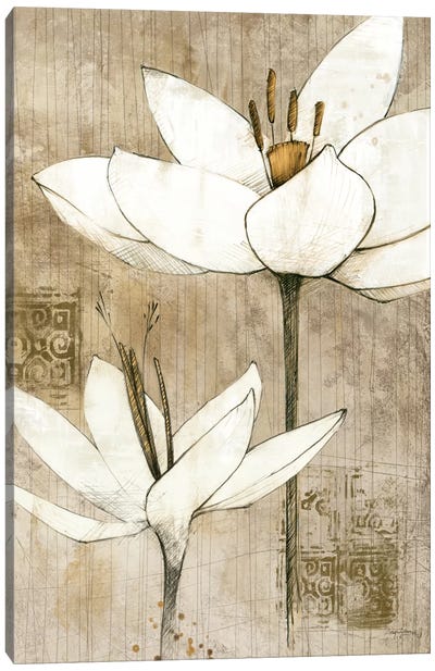 Pencil Floral I  Canvas Art Print